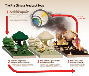 ESAC Carbon supporting visual